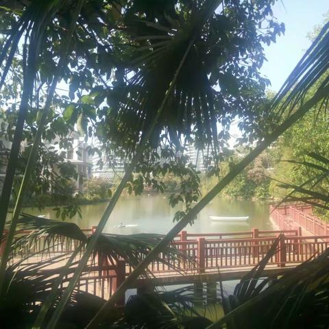 五指山的春天里……！