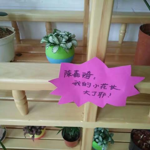 植物角！