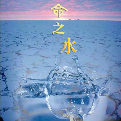 五（4）班郭欣语的美篇【生命与水】
