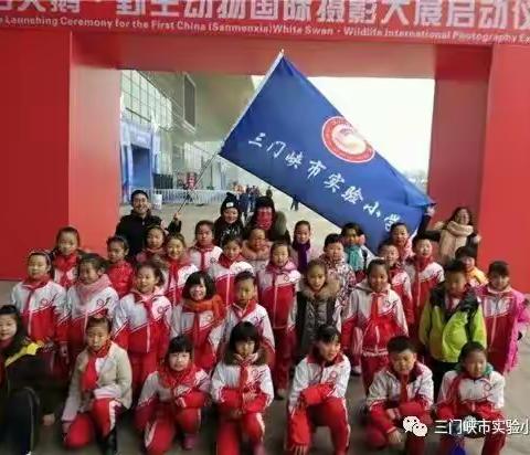 实验小学4（4）班郭欣语，英语，语文特色网络作业，学习有关雪的古诗感想