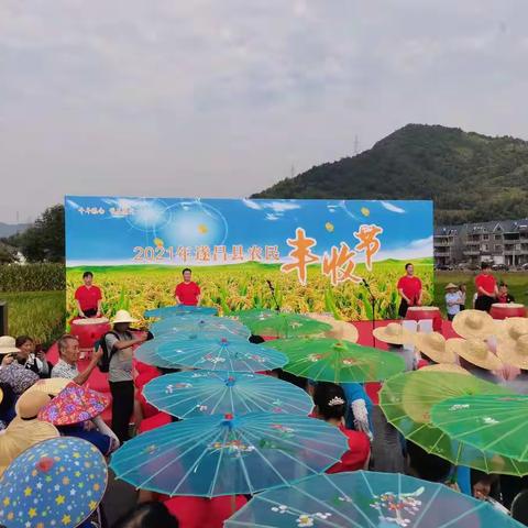 【我们的节日】2021首届种业丰收节