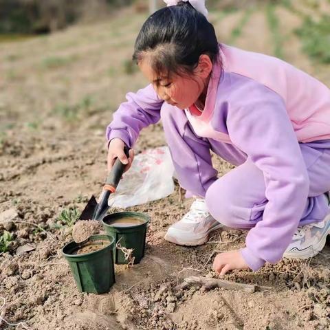 春风十里，正“植”有你——宿豫区玉泉山路小学植树节活动之约