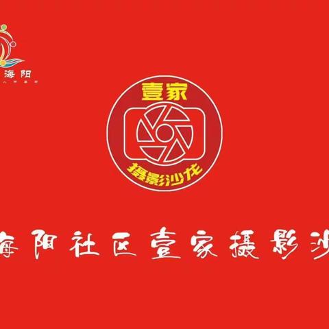 壹家摄影沙龙，月度回顾展第25期