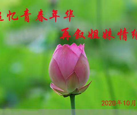 追忆青春年华  再叙姐妹情缘