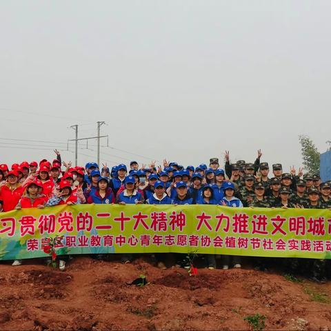 植树节社会实践活动