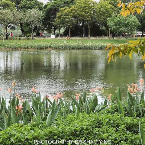 春日踏青海珠湖
