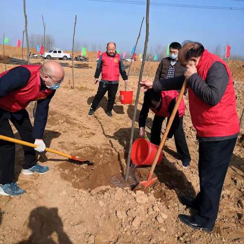 叶邑镇开展义务植树造林，打造绿色环保家园