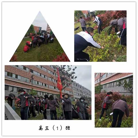 最美二中校园   爱她有你有我——遵义二中劳动教育进课堂行动纪实
