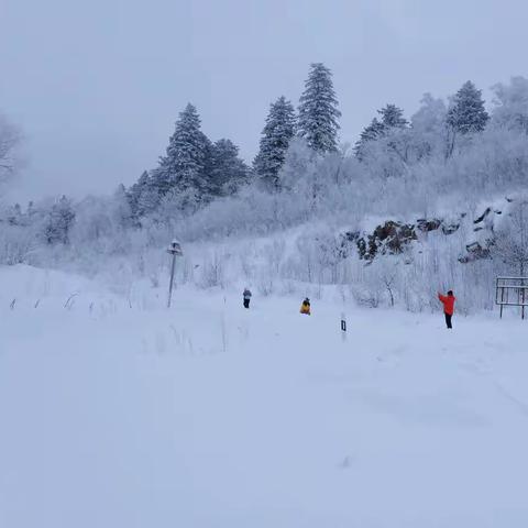 冬季到东北来看雪