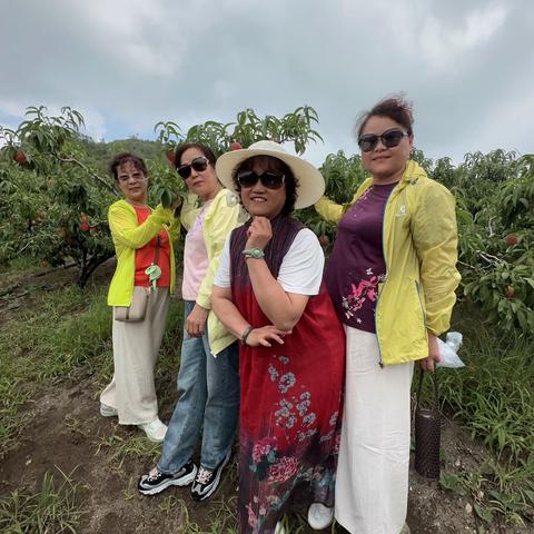 五姐妹去桃花岛摘桃子🍑秋天是收获的季节，硕果累累满园桃，秋高气爽西石驿站饭菜香。2023年8月13日留念