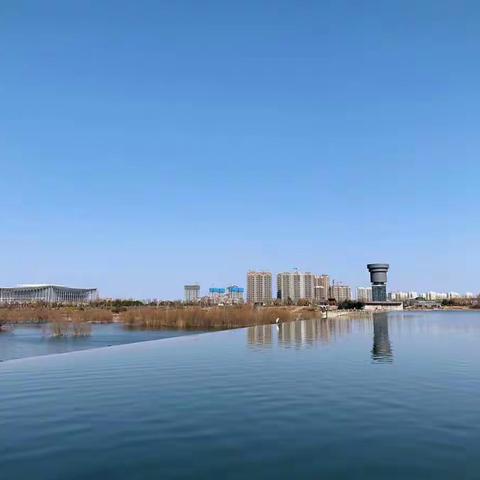 行政审批服务局召开世园文旅小镇-文旅演艺综合体项目等节能评审会