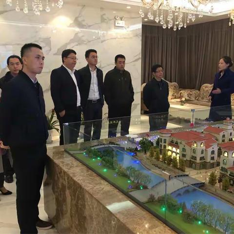 广州市发改委调研罗曼小镇项目及世园会