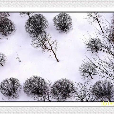 楼下的雪景