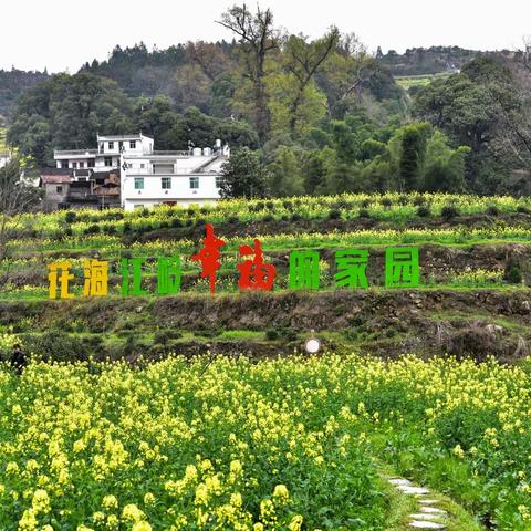 江岭花海