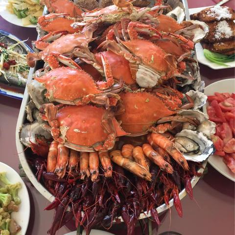 东戴河我们十一位亲朋好友，自驾游又来了。