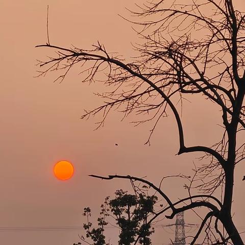 今非昔比，大美“長漾”！