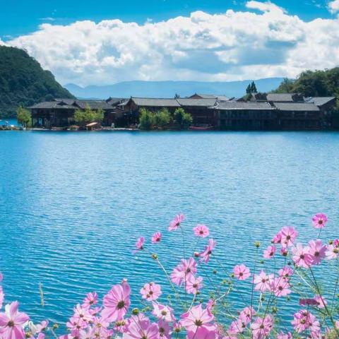 停课不停教，隔离不隔爱——洛南县城关中学八年级语文备课组线上教学纪实。