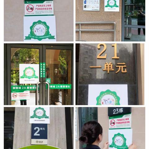 我为群众办实事——御锦城里的绿色“安心盾牌”(二)