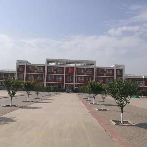 全力以“复”，辛店实验小学在行动