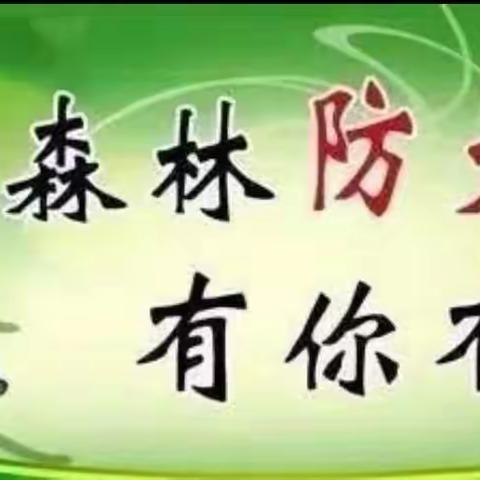 森林防火,人人有责”——星城花园幼儿园森林防火篇!