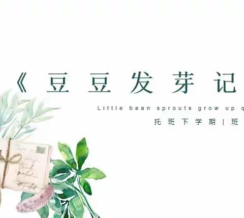 托班班本活动《豆豆发芽记》