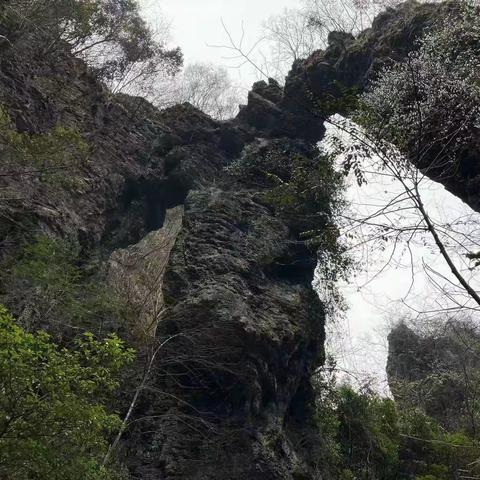 湄江山水入画来