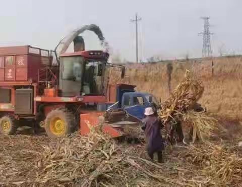 乾县：“三堆六乱”整治秸秆清理“歼灭战”进行时