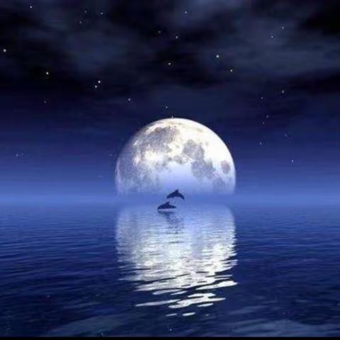 他乡游子莫思乡，农商与您度中秋