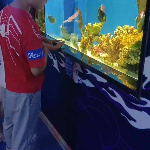 快乐暑假