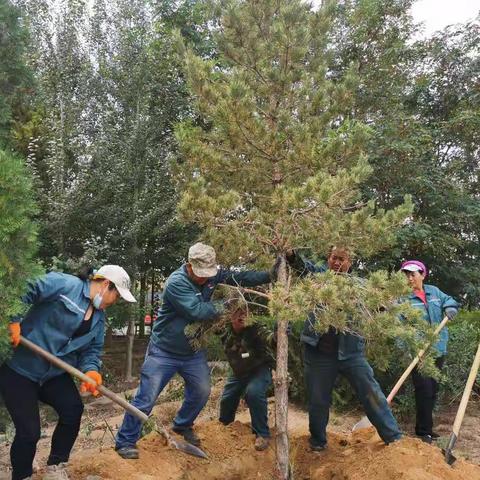 瞧！宁东人这十足干劲