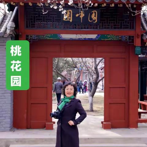 田老师游桃花园
