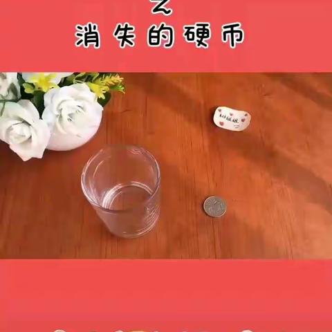 大班科学活动：《硬币去哪儿了》