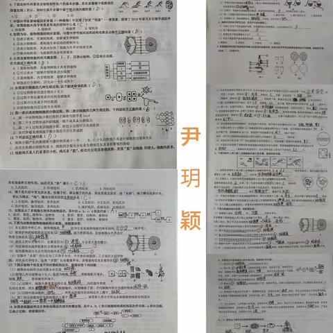 22级七年级十二班六组生物作业分享