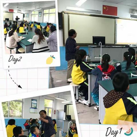 课堂展示，共促成长——长乐小学举行科学教研活动