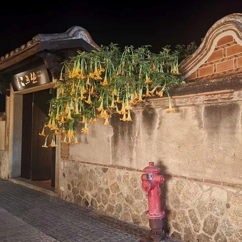 王师北定中原日，家祭无忘告乃翁