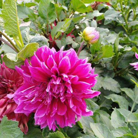 【庆祝十九大 共创文明城】高庙小学开展科任组说课研讨会