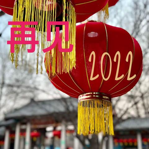 再见，2022！ 《百花集萃篇》   （上）