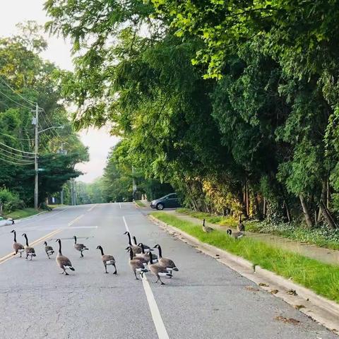 假期公路之旅自驾游记