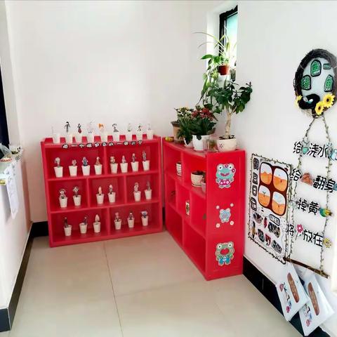 【经开七幼】“变化”——大一班项目活动阶段性报道（一）