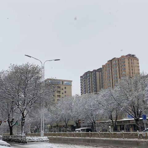 立春后的第二场大雪，春雪后的景色实在是太美了！