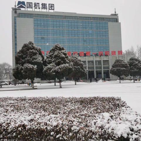 春雪