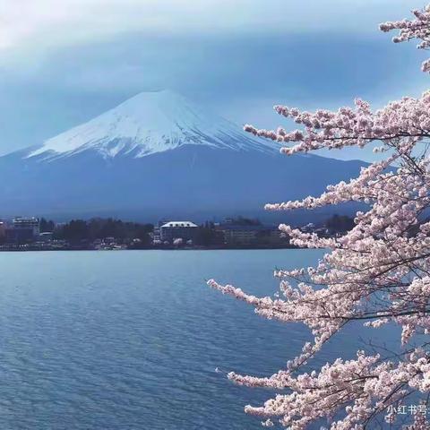 《富士山》