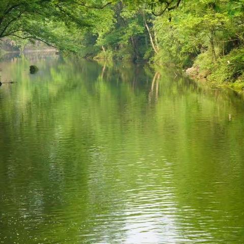 信风（474班报）