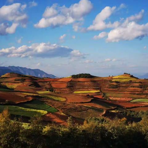 我的名字美在诗词里&课前5分钟演讲