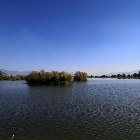 课前5分钟演讲（429）