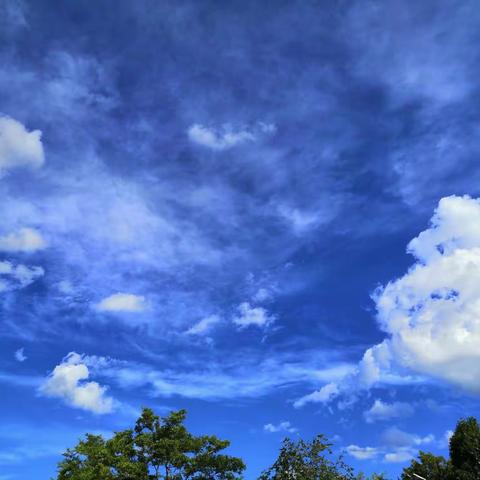 我的名字，美在诗句里429（附体育节视频）