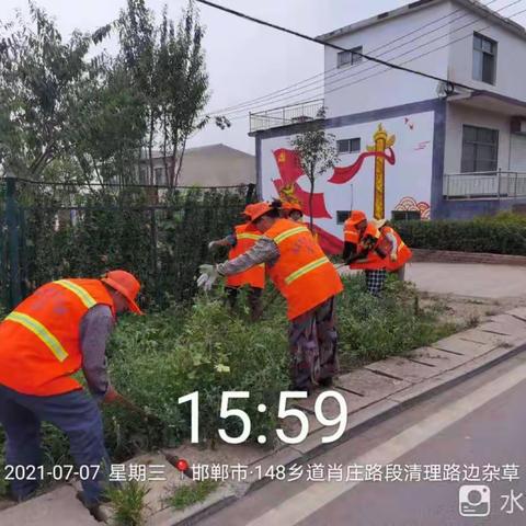 清理沿线杂草，提升道路环境