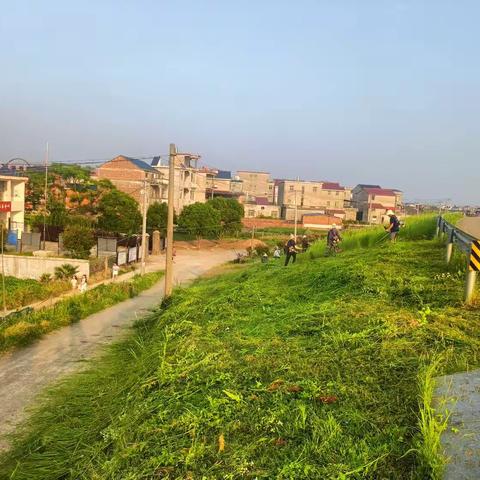 人居环境整治，擦亮乡村振兴底色