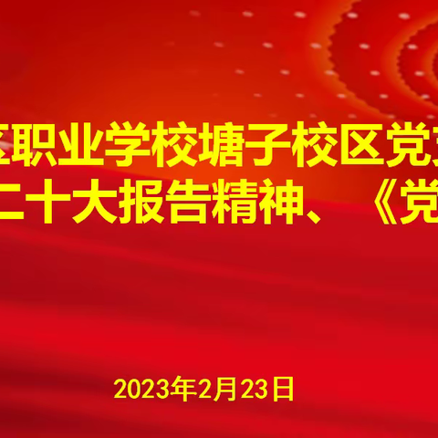 塘子校区党支部召开2022年度组织生活会和开展民主评议党员活动