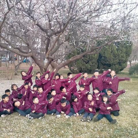 德州阳光未来国际学校2021-2022学年度“清北班”招生简章